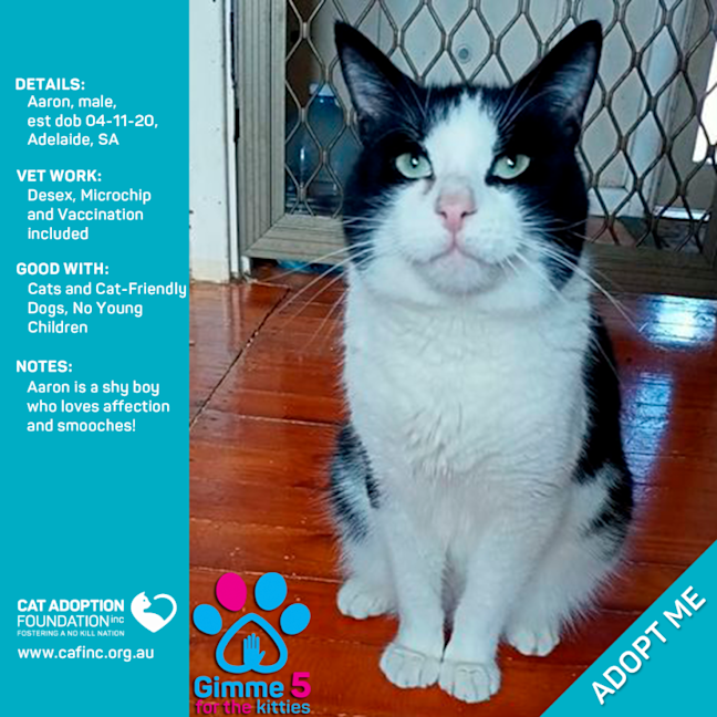 Photo of Aaron Only $39 Limited Time!