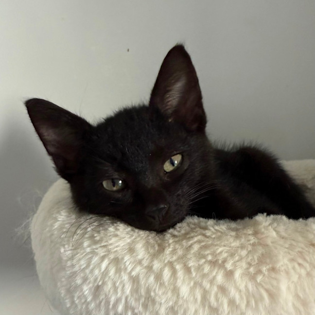 Photo of Elliott 🥥