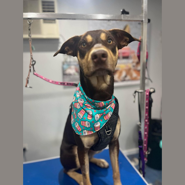 Photo of Fred Weasley