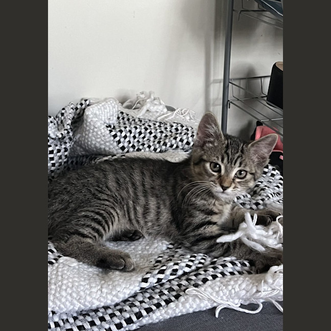 Photo of Odie N Dawn