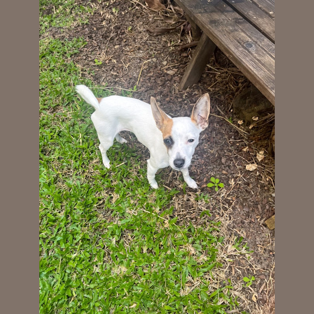 Photo of Lily