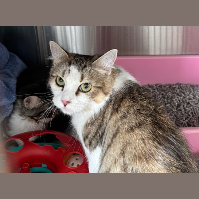 Photo of Charcuterie 