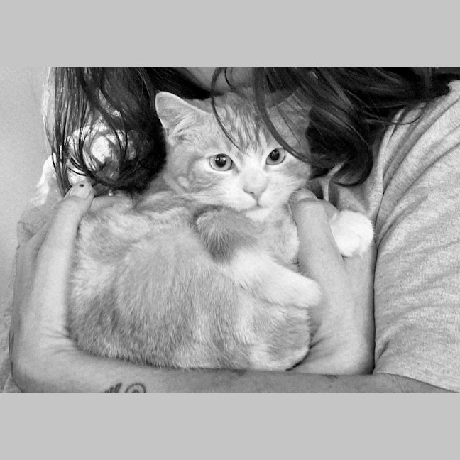 Photo of Oliver (8995)