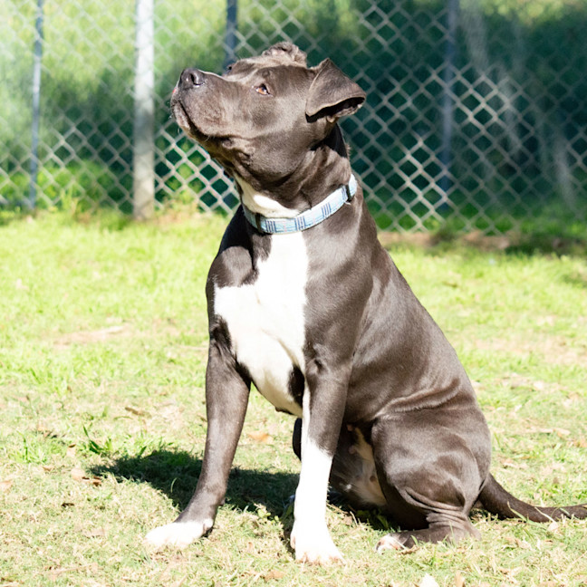 Photo of Nautica