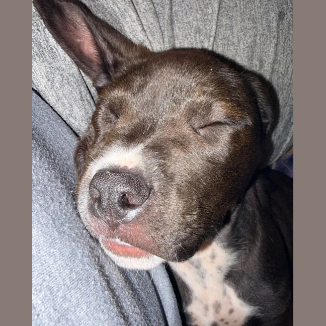 Photo of Roxy