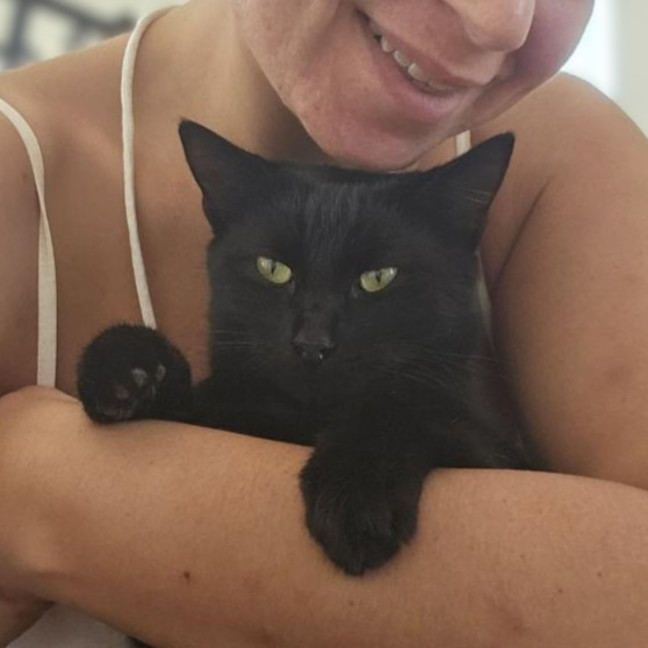 Photo of Liesa The Cat