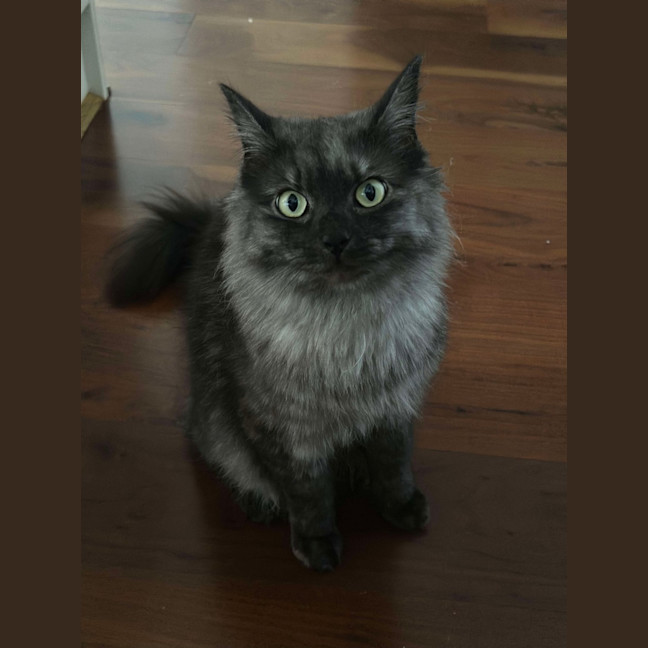 Photo of Amelia 🩷