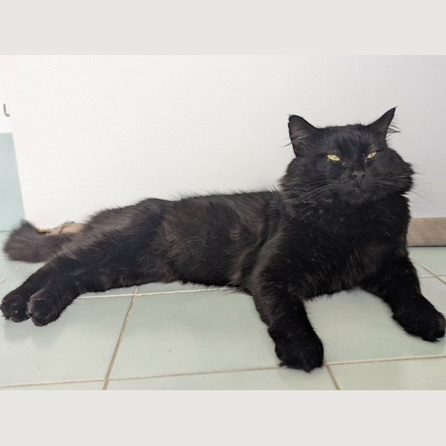 Photo of Big Boy