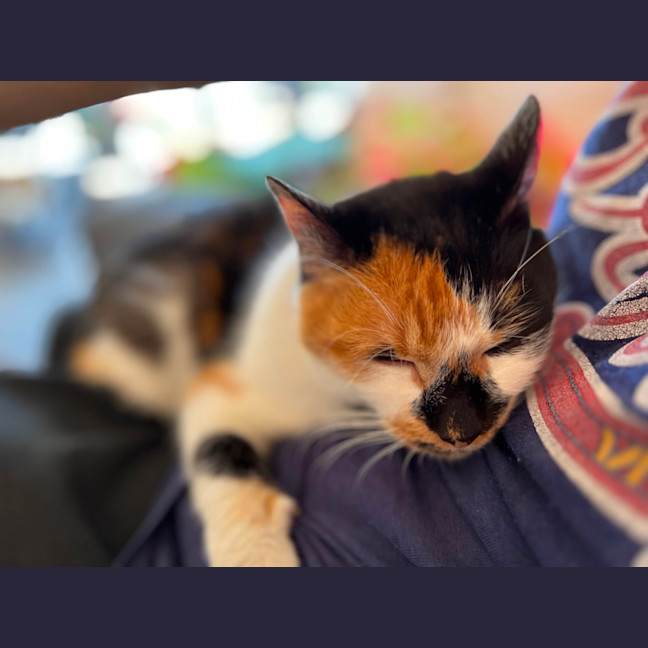 Photo of Sophie