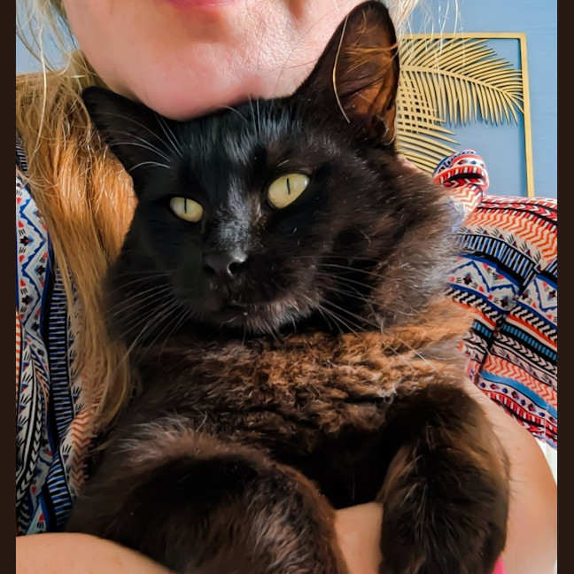 Photo of Ronnie ** Mr Snuggles**