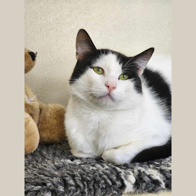 Photo of 🧃 Ian 5627 🧃