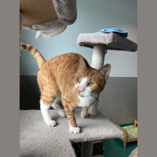 Photo of Owen