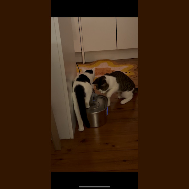 Photo of Penny & Essie 