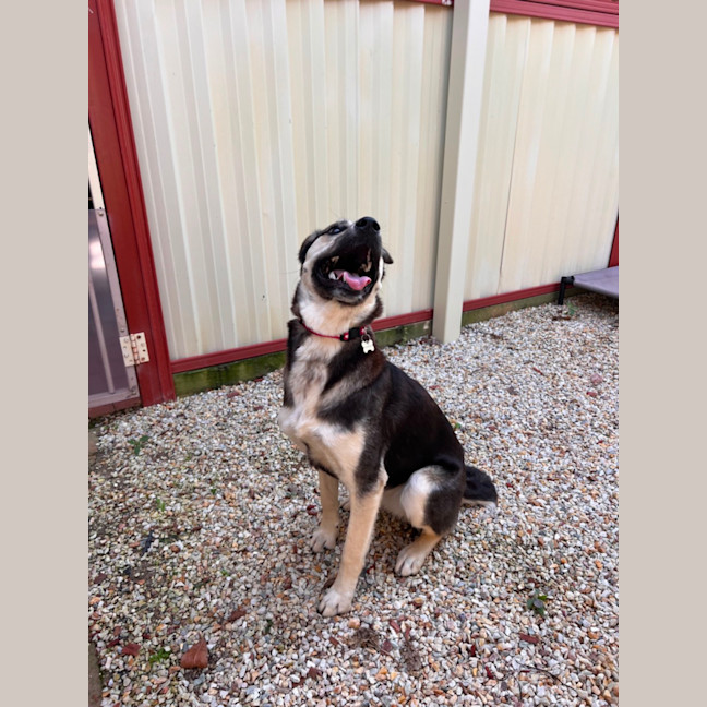 Photo of Pippa