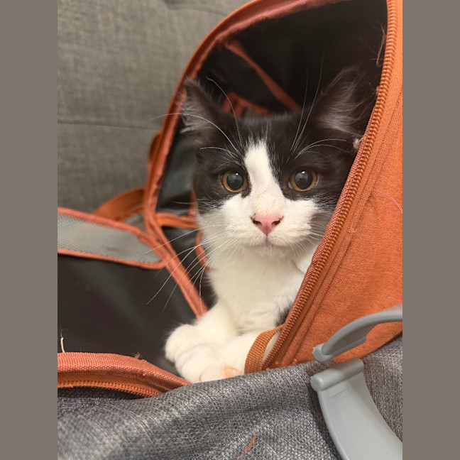 Photo of Hugo