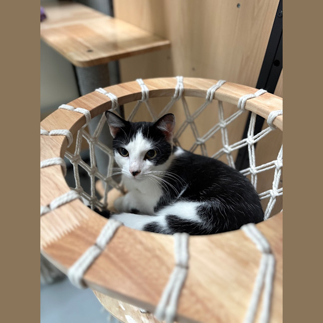 Photo of Panda Scott