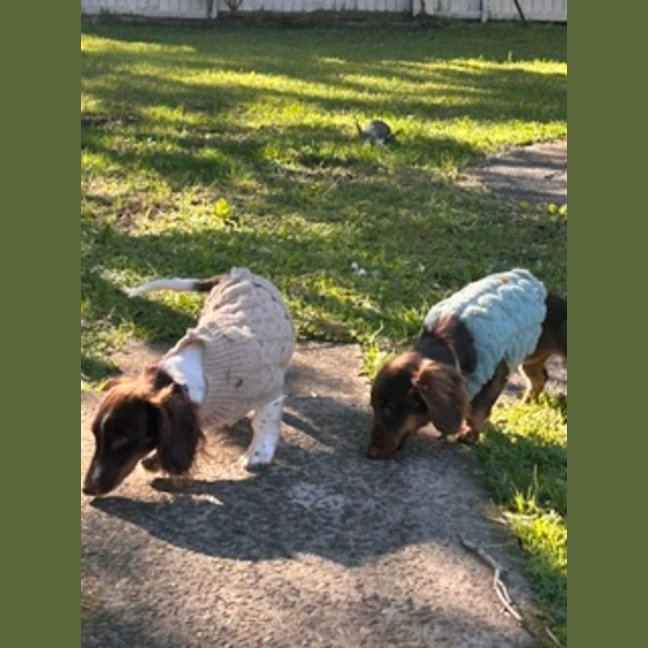 Photo of Paisley & Piper