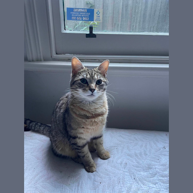 Photo of Fred & Barney