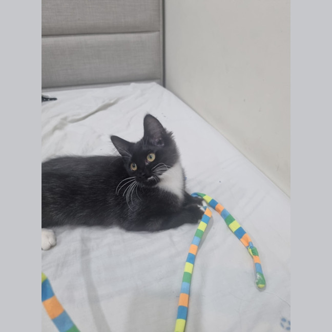 Photo of Ivy