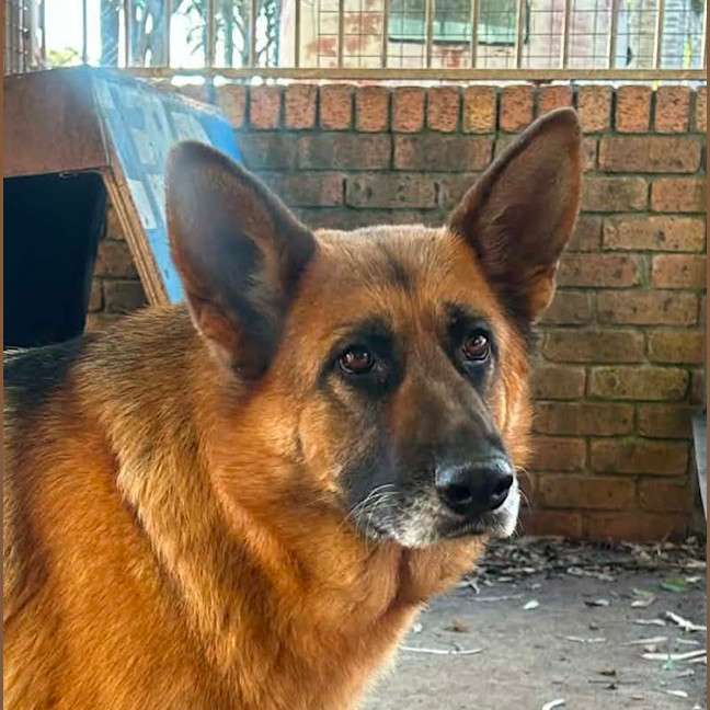Photo of Molly