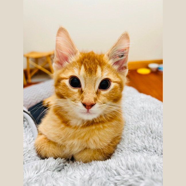 Photo of Barry