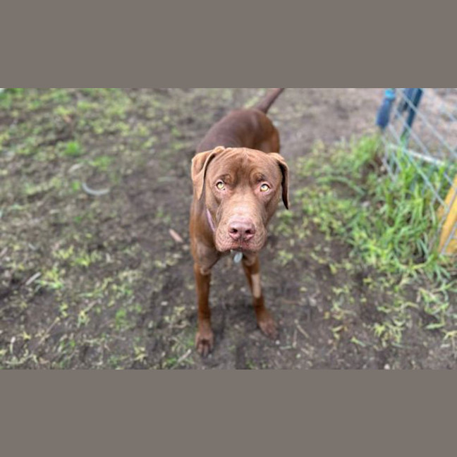 Photo of Chocy