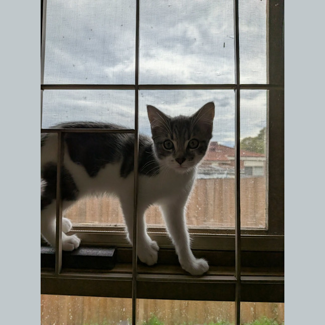 Photo of David