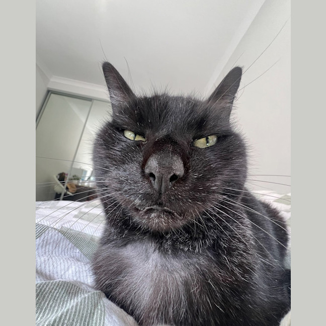 Photo of Gertrude