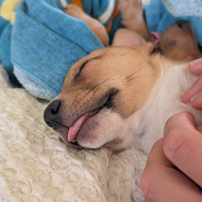 Photo of Eggsy