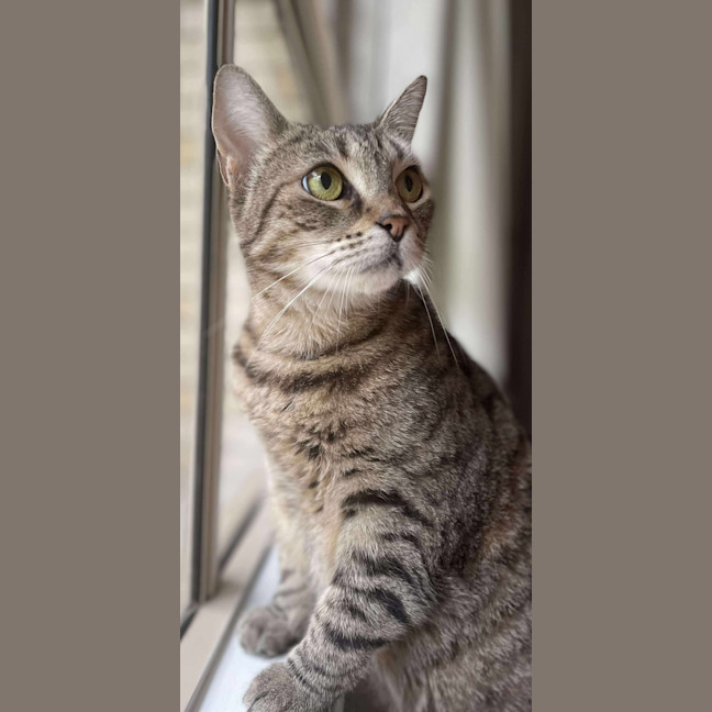 Photo of Kiki