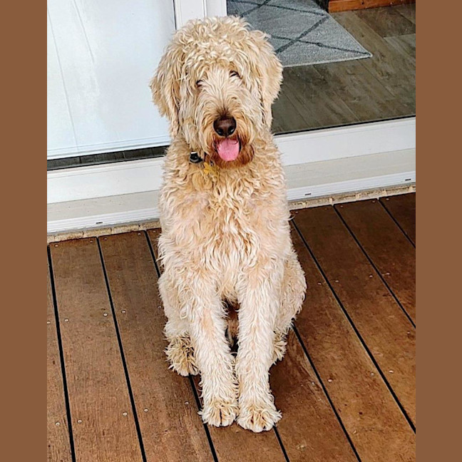 Photo of Marshall Uffelman