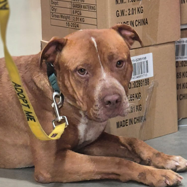 Photo of Floyd