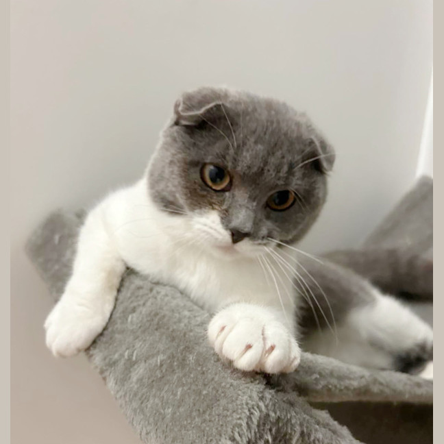 Photo of 🌜Moonshine🌛