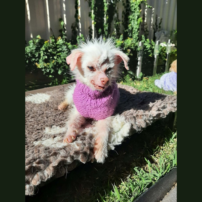 Photo of Mindy