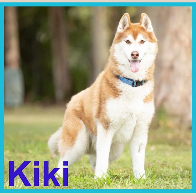 Photo of Kiki And Sandy