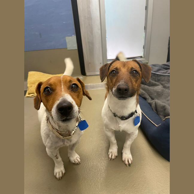 Photo of Phoebe & Wilson