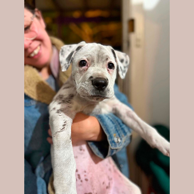 Photo of Tilly