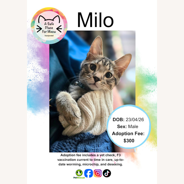 Photo of Milo