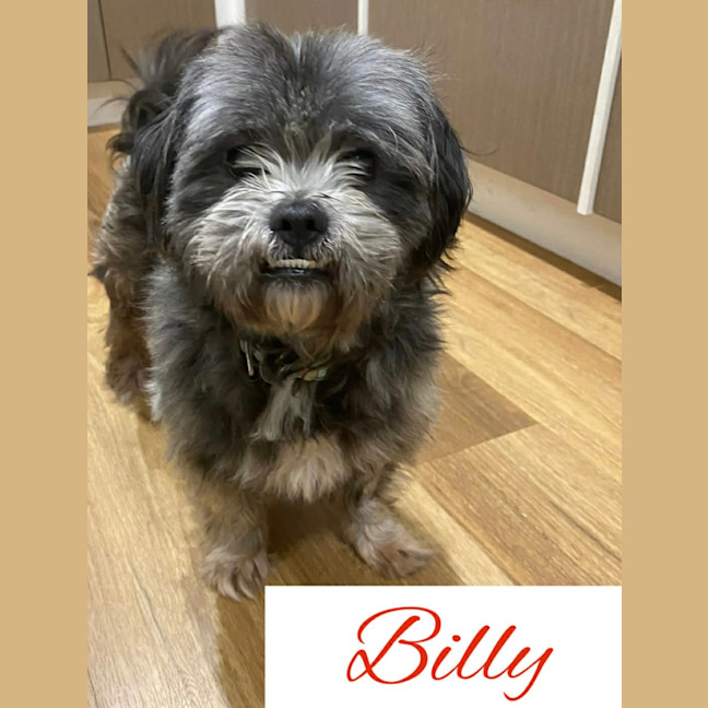 Photo of Billy