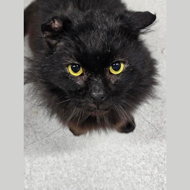 Photo of 🎣 Greg 6702 🎣