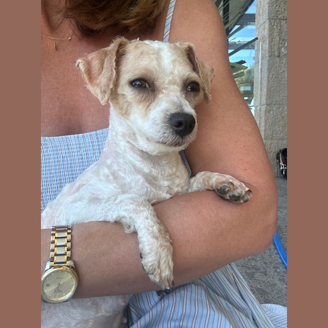 Photo of Polly