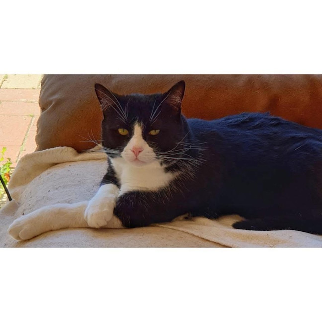 Photo of 7829   Freddie