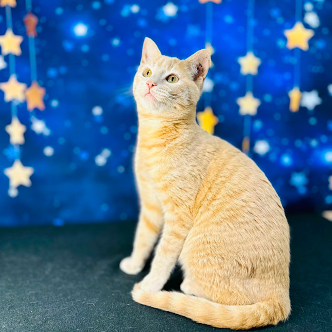 Photo of Russ (Located In Preston) 