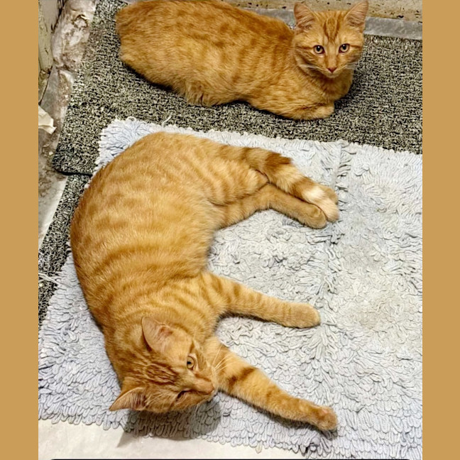 Photo of Ben & Jerry