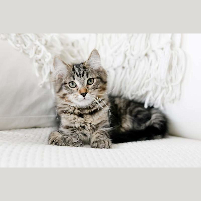 Photo of Ralph