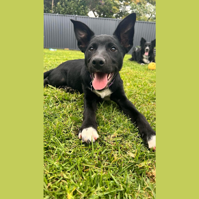 Photo of Molly