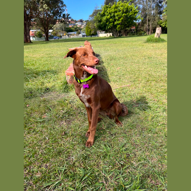 Photo of Remi