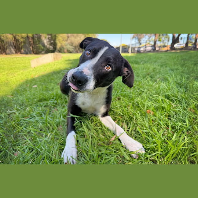 Photo of Saige