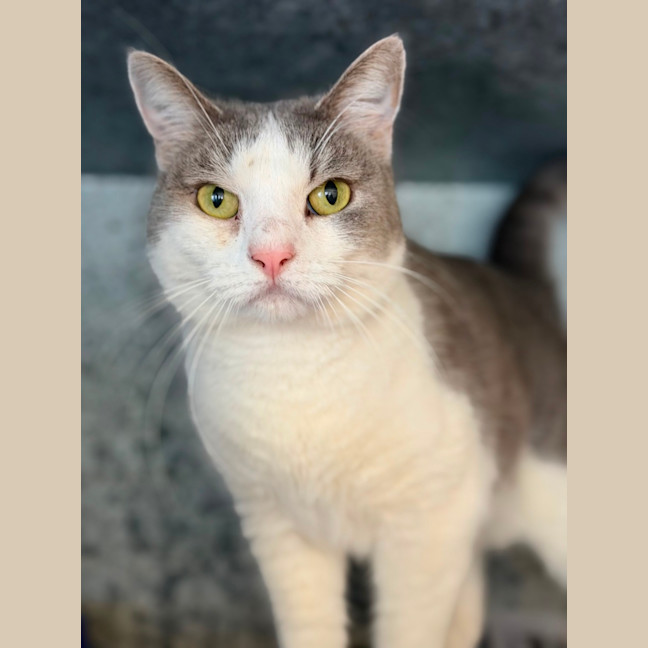 Photo of Lilly