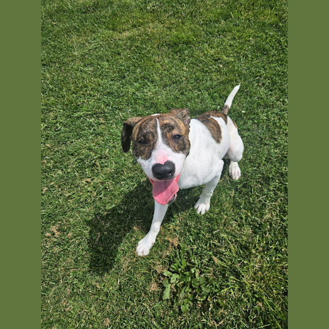 Photo of Ollie Rollo